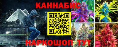 a pvp Конаково